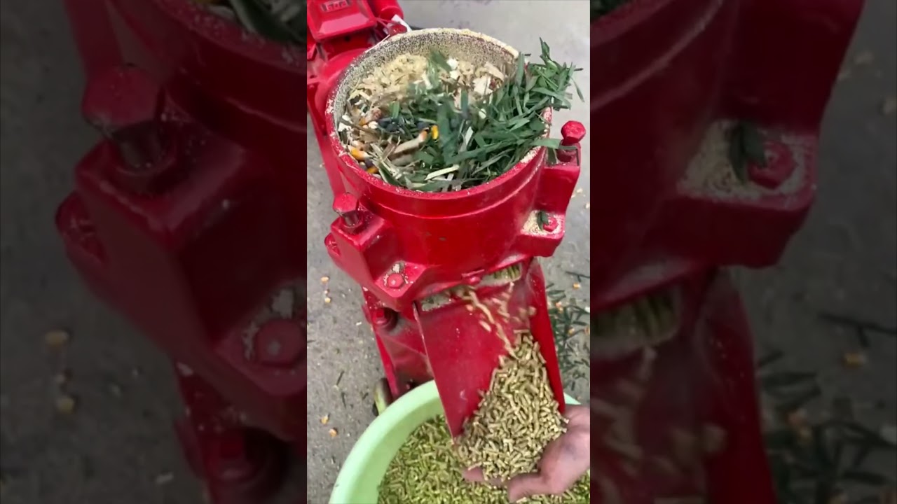 Making Pellets for rabbits  #shortsfeed #pellets #shorts #agriculture #farming #richharvestafrica
