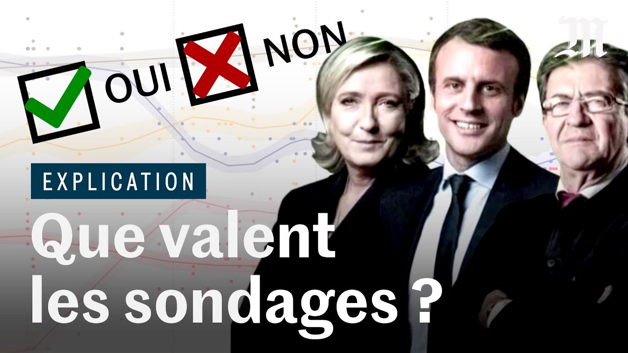 Législatives 2024 : les sondages sont-ils fiables ?