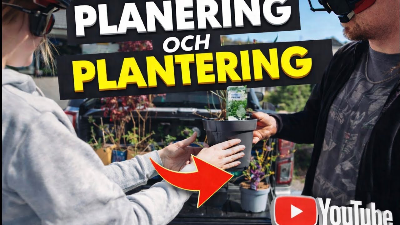 Rabattkanter, Plantera, Klippa gräs