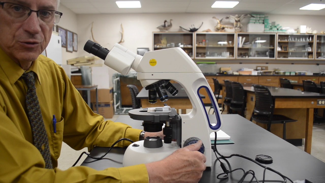 Introduction to the compound microscope