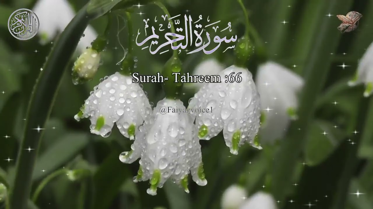 Surah Tahreem-66 | only urdu hindi translation HD | @FaiyazVoice1 