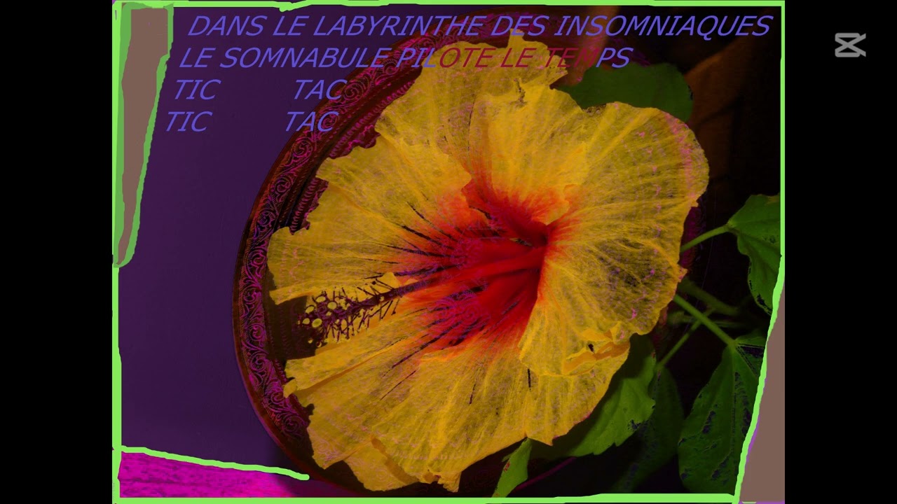 GWEN JOSS 'Tic tac medley' Feat Théo BARNOLA