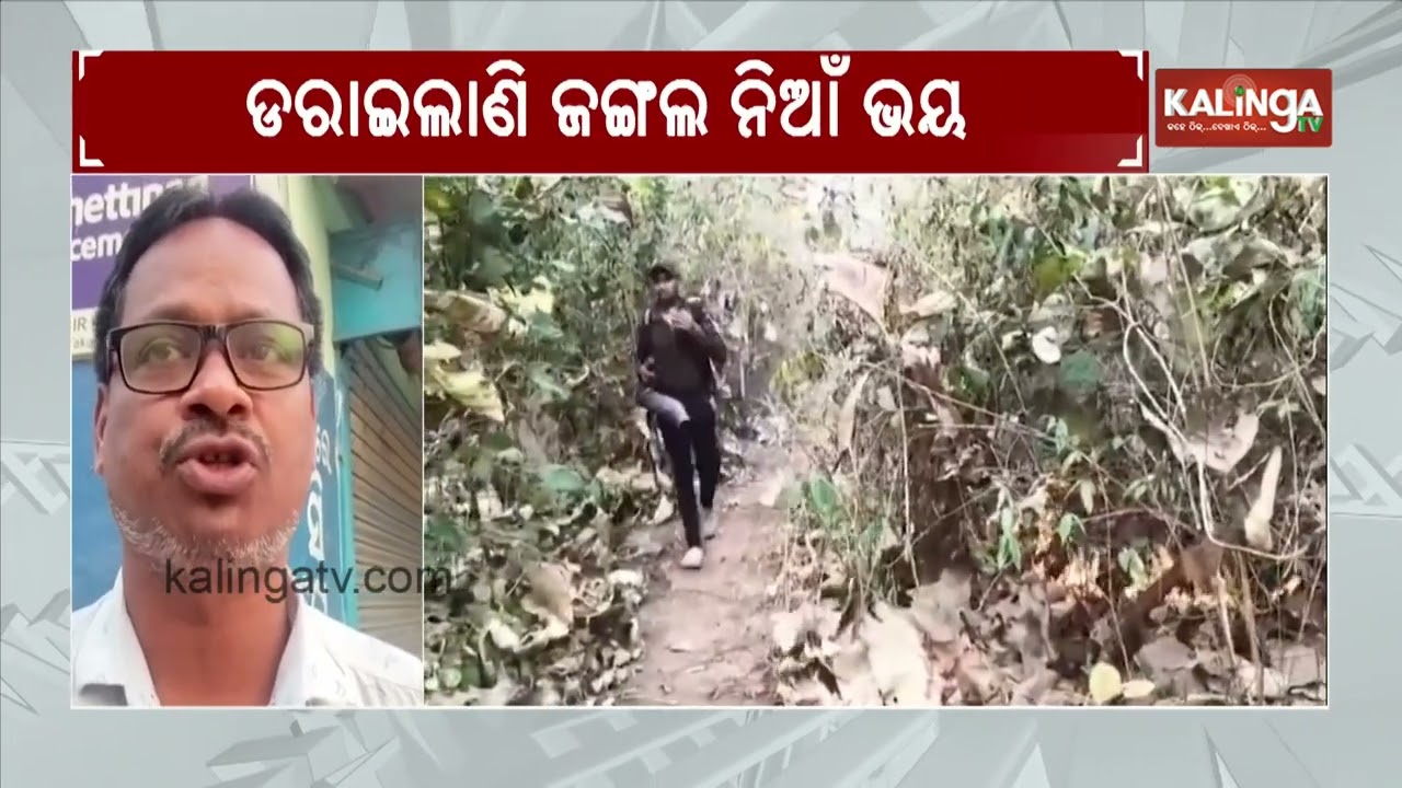 Forest fire raises concern amid starting of Summer in Odisha's Nayagarh | Kalinga TV