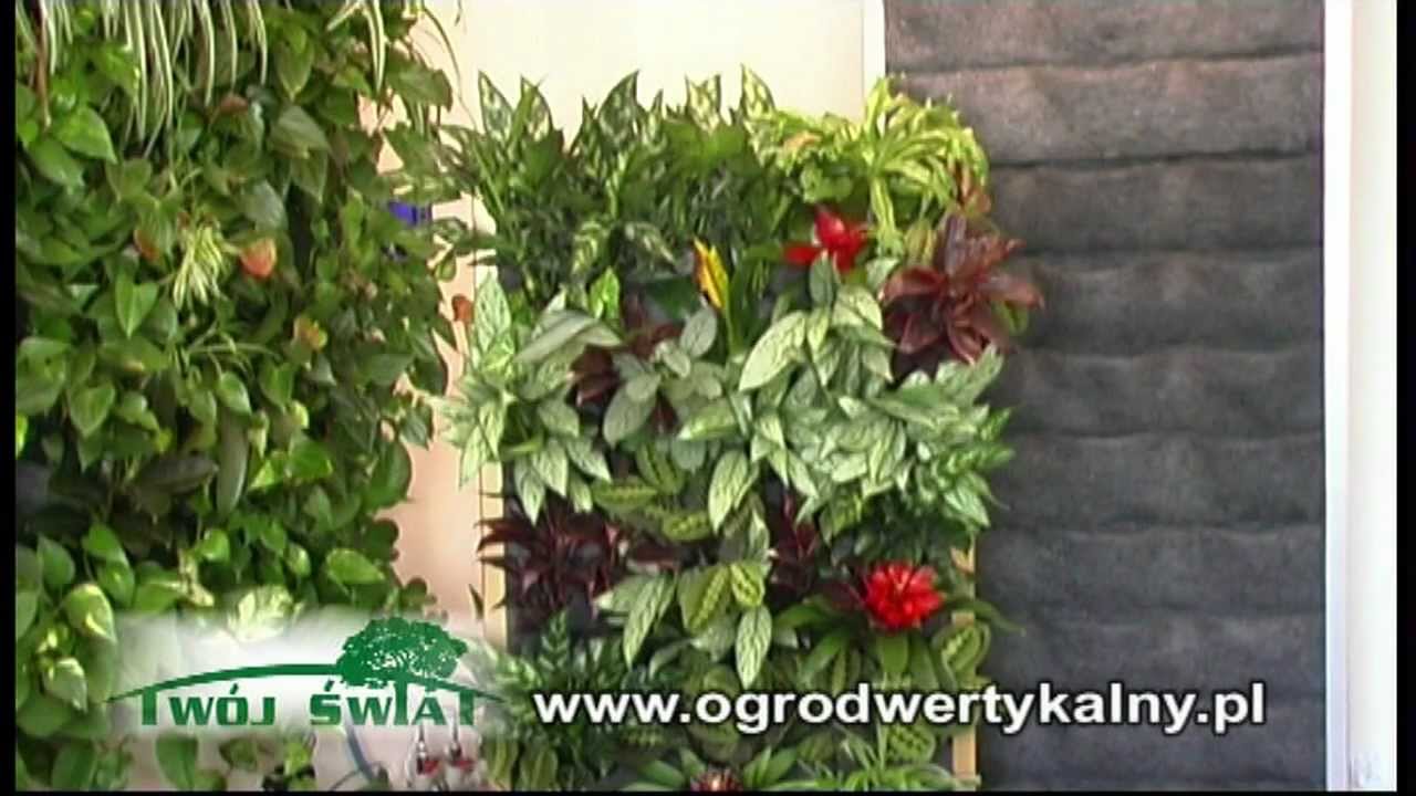 mobilna zielona ściana, ogród wertykalny.mp4