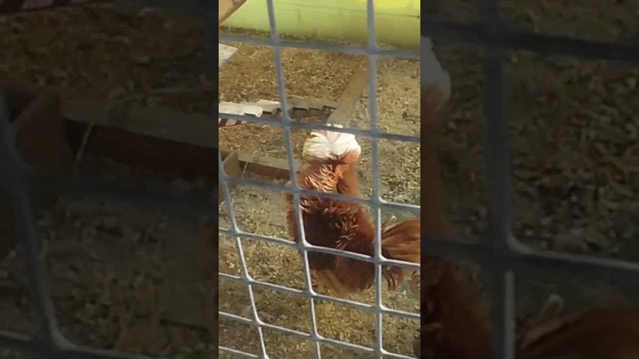 12 марта 2026 г.