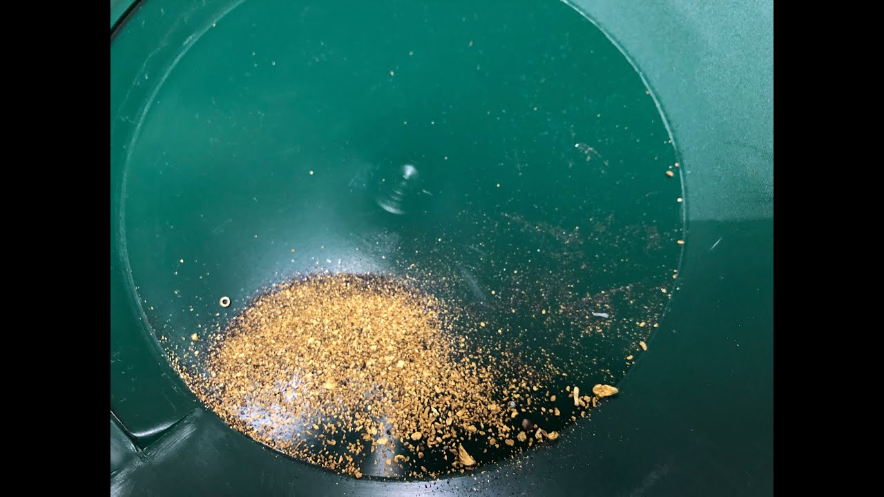 ORO ECOLÓGICO ASOMBROSO RESULTADO DRAGA CAJÓN CONCURSO PESO MINERÍA ATRAPA JAGUA BATEA ALUVIÓN RÍO