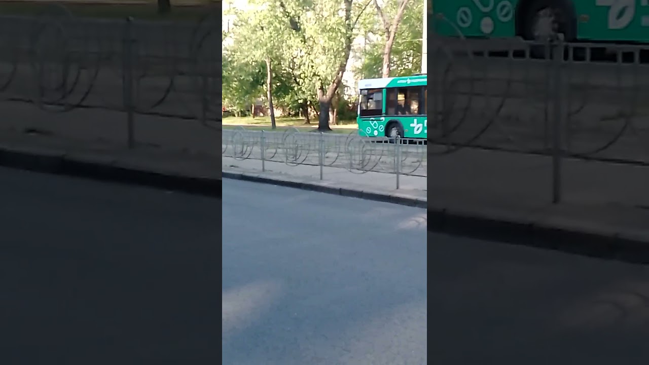 46#4656 #автобус#Київ#Shorts