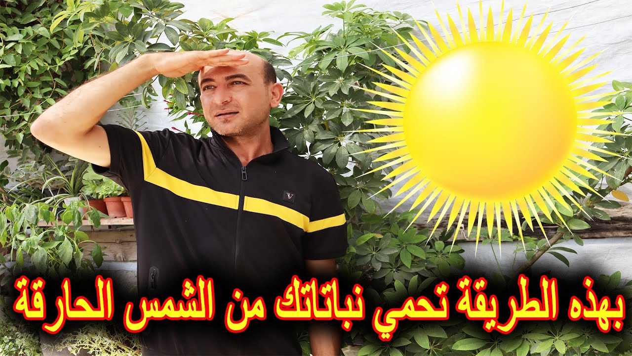 أفضل طريقة لحماية النباتات من الشمس و الحرارة العالية