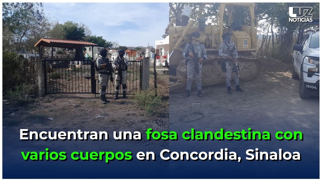 Encuentran una fosa clandestina con varios cuerpos en su interior, en Concordia, Sinaloa
