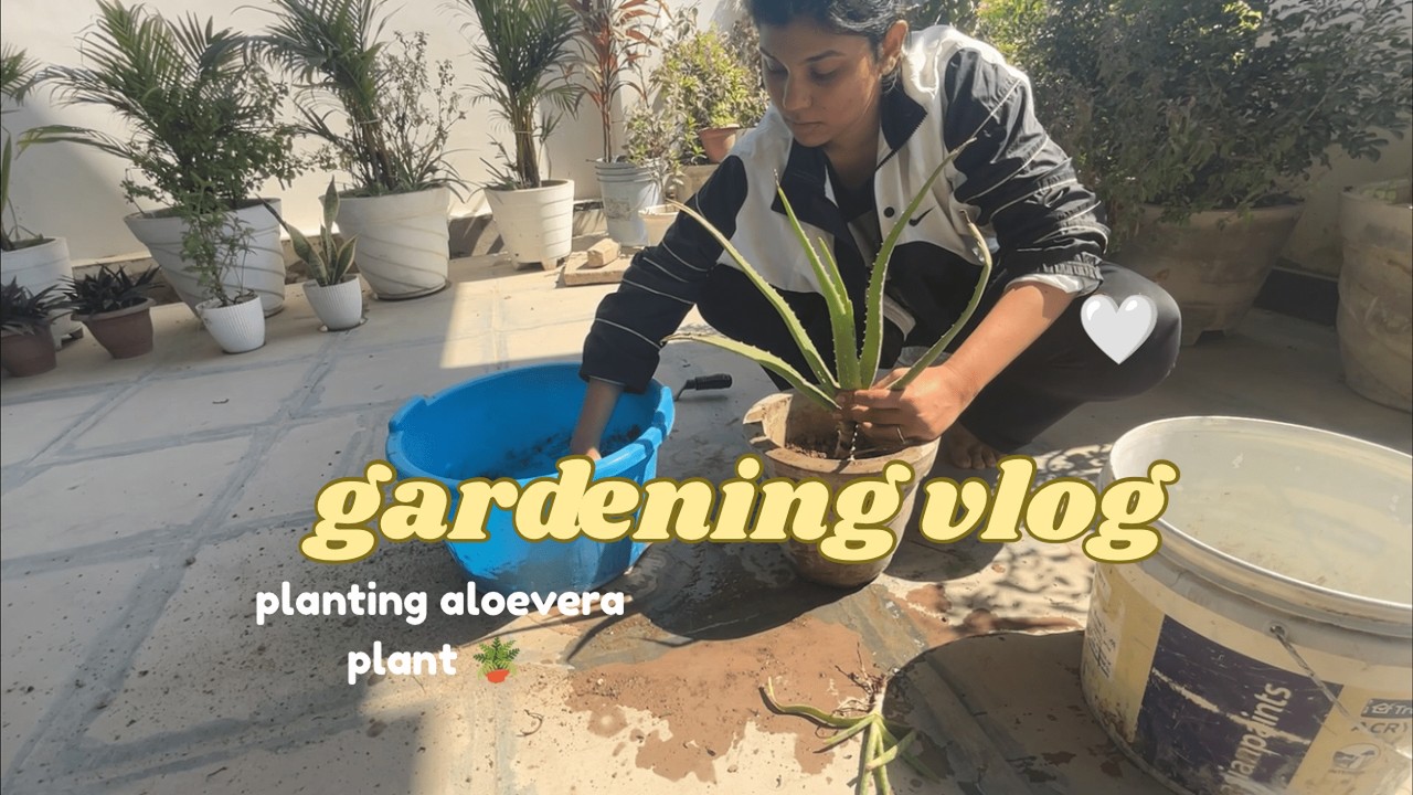 Planting a New Beginning 🌱 | Gardening Day in My Backyard