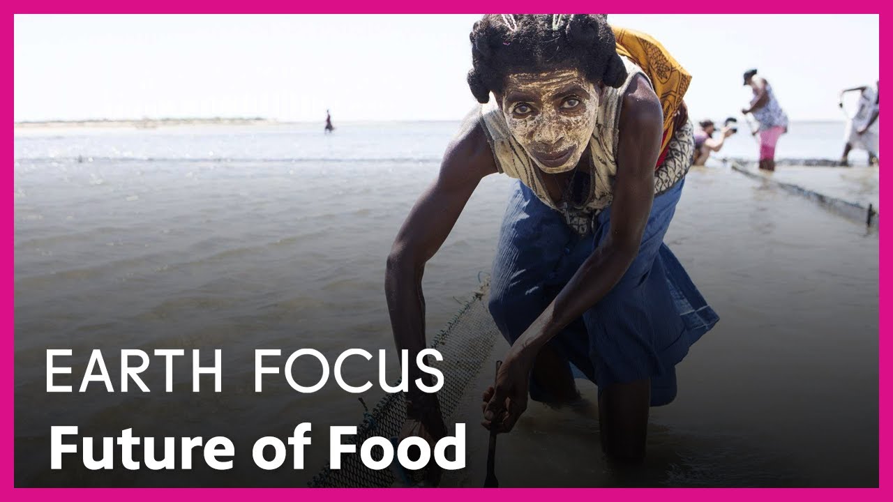 Future of Food | Earth Focus | Season 1, Episode 5