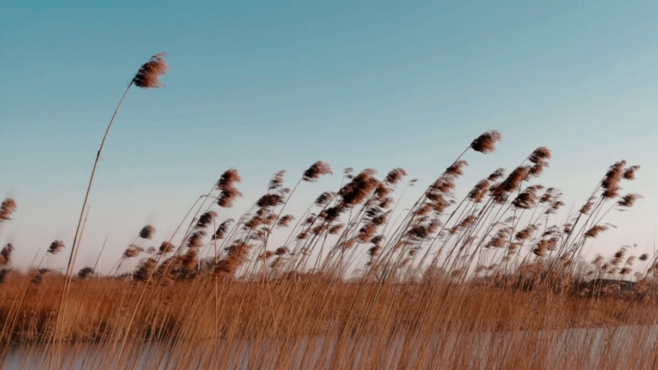 Novo Amor - Haven (slowed and reverb)