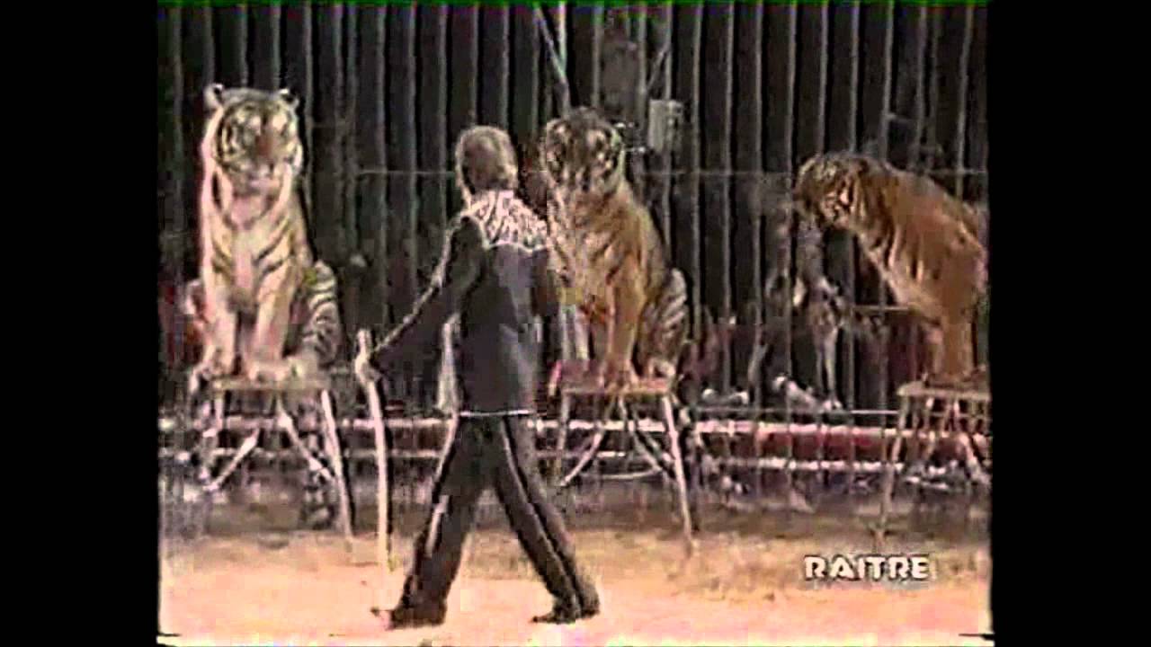 Roberto Bellucci Monte Carlo 1984 ( Numero con 14 tigri Siberiane)