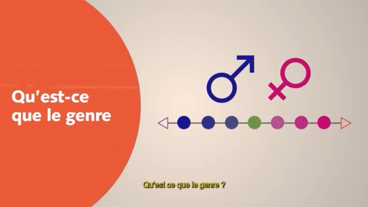 Qu'est-ce que le genre