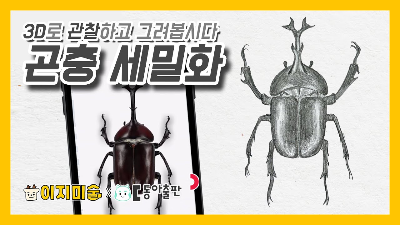 연필 한 자루로 곤충 세밀화 그리기