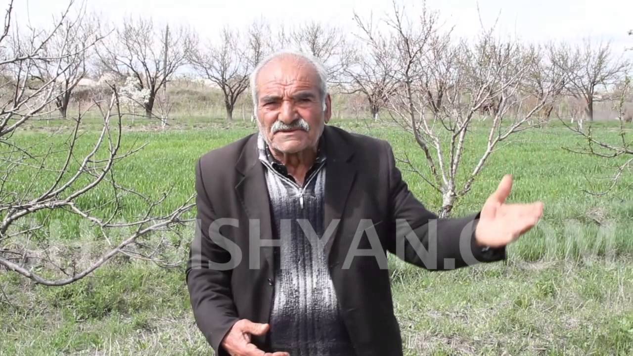 Դալար գյուղի 77-ամյա բնակիչը գյուղապետին մեղադրում է կոյուղու և ոռոգման ջուրը իրար խառնելու մեջ