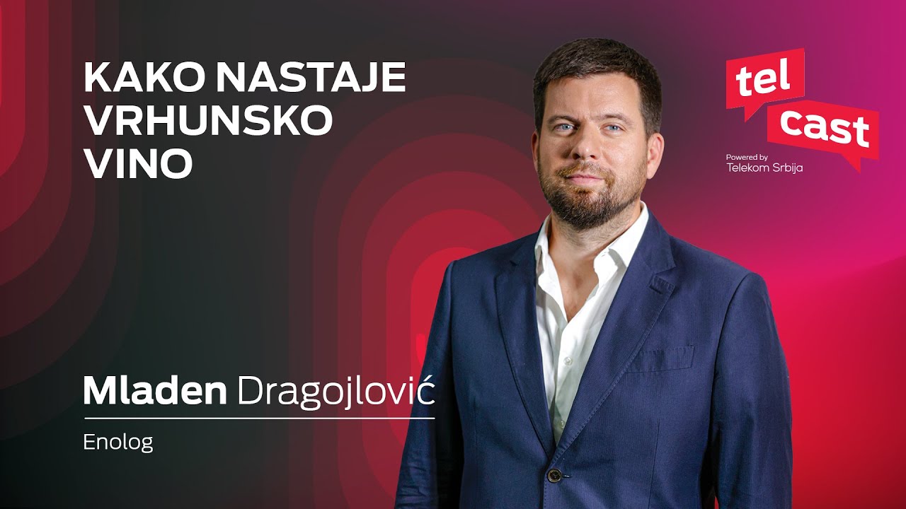 Kako nastaje vrhunsko vino? I Mladen Dragojlović I Telcast ep. 54