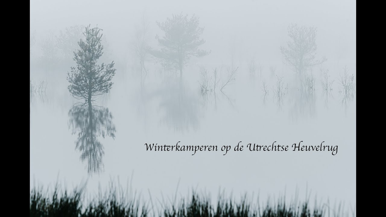 Winterkamperen op de Utrechtse Heuvelrug