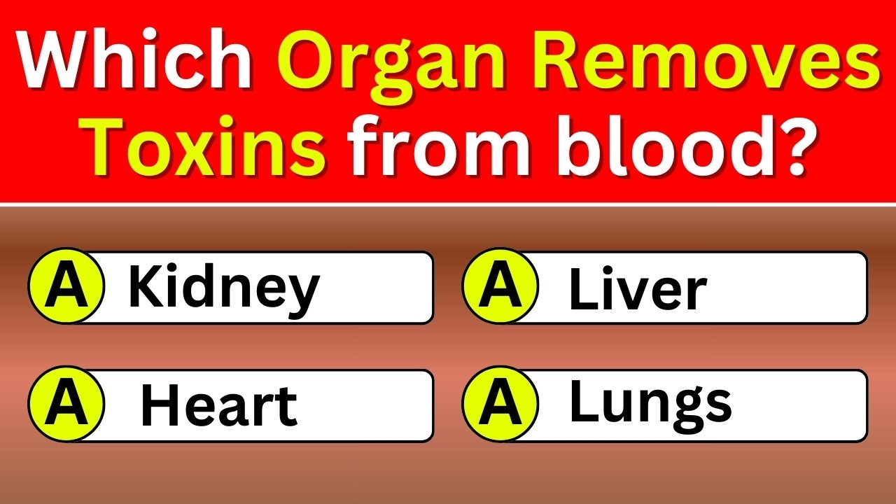 Quiz General Knowledge | 50 Mind-Blowing Questions to Test Your Brain | Wisdom Daily