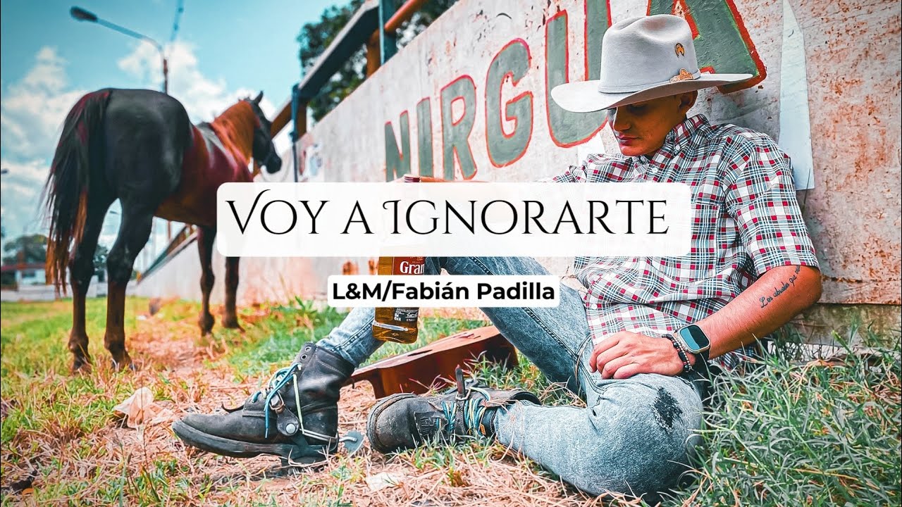 Voy  a ignorarte - autor Fabián Padilla Audiovisual