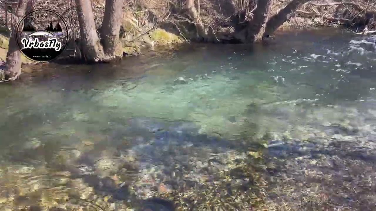 Otvor Ribolova VrbasFly Fisching