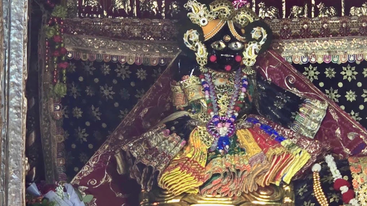 Radha Rani ki dibani  is live