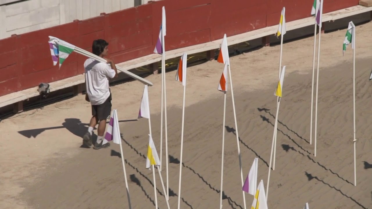 Daniel Buren: 'Like Flags on the Moon' - Vers la lune en passant par la plage
