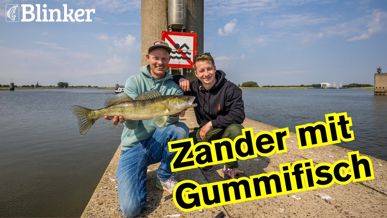 Zander und Barsch vom Ufer &ndash; Saisonstart in Holland