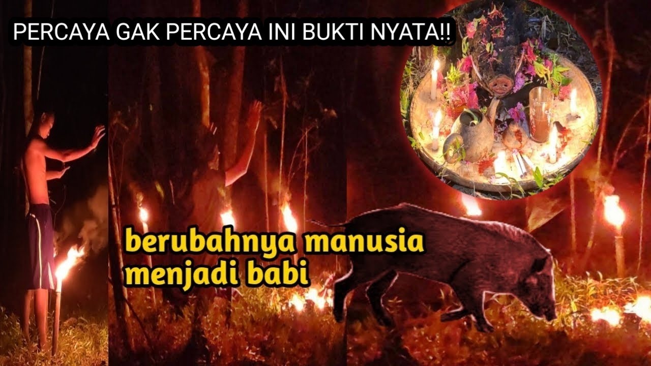 VIRAL DETIK-DETIK BERUBAHNYA MANUSIA KE WUJUD SILUMAN BABI‼️NAUZUBILLAHI MIN DZALIK!!