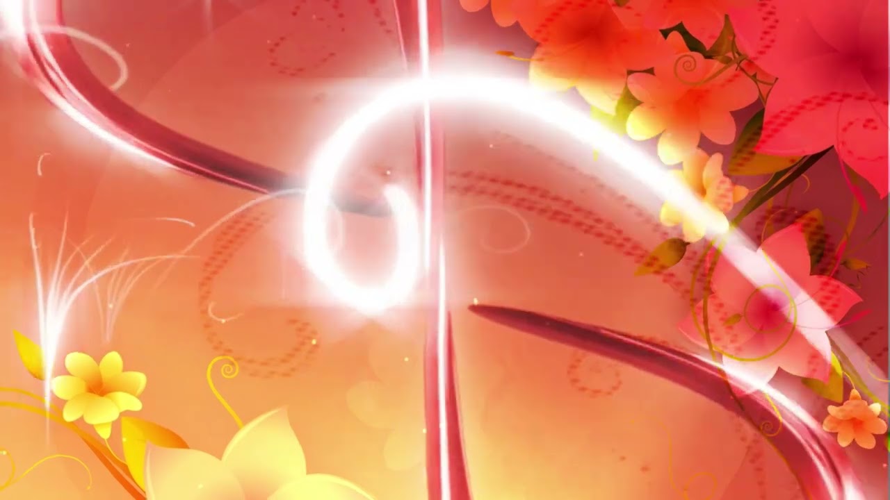 HD White & Peach Floral & Leaves Background  Animation #nocopyright #newvideo #freebackgrounds