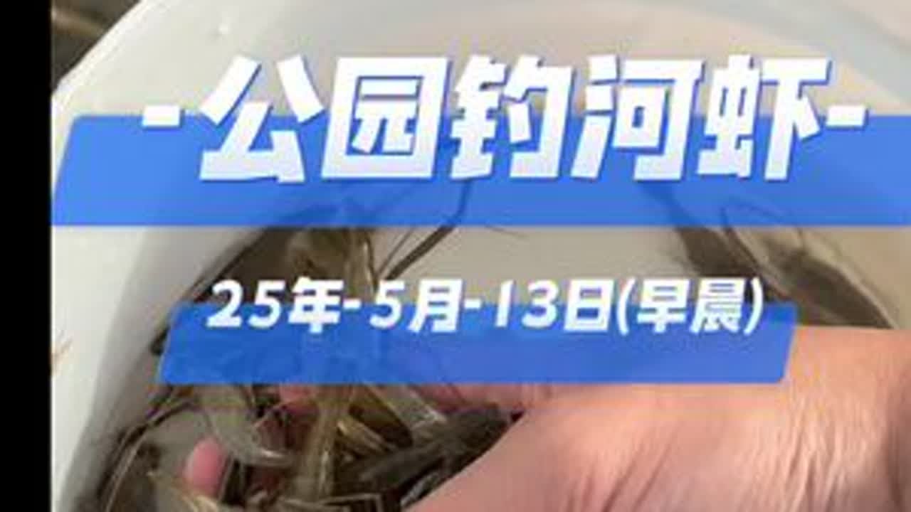 要想河虾钓的多，勤找钓位，别打窝，打窝了反而钓不着，今天探钓的是城区公园，#河虾钩 #钓河虾 #钓河虾的技巧和方法 #正在直播中请点头像进入