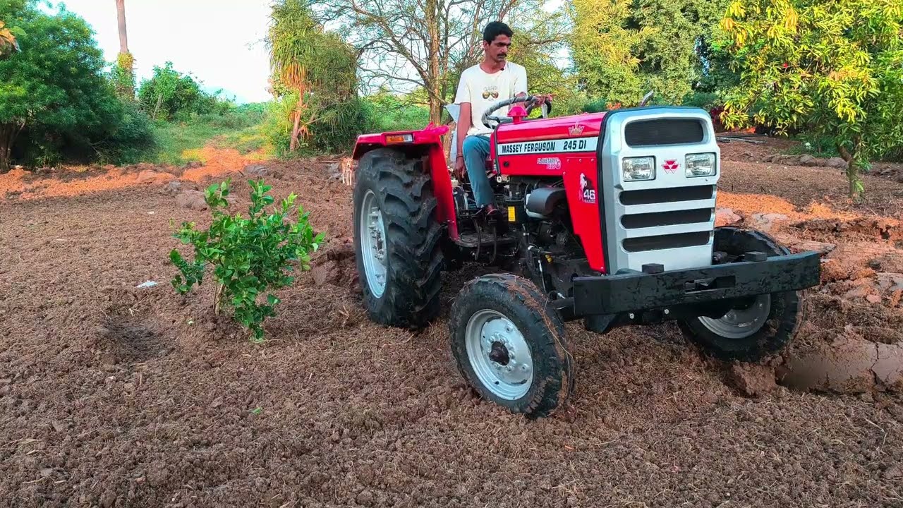 గడ్డి కోసం పొలంలో లోతు దుక్కులు ఎంత లోతు తగ్గిందో చూడండి