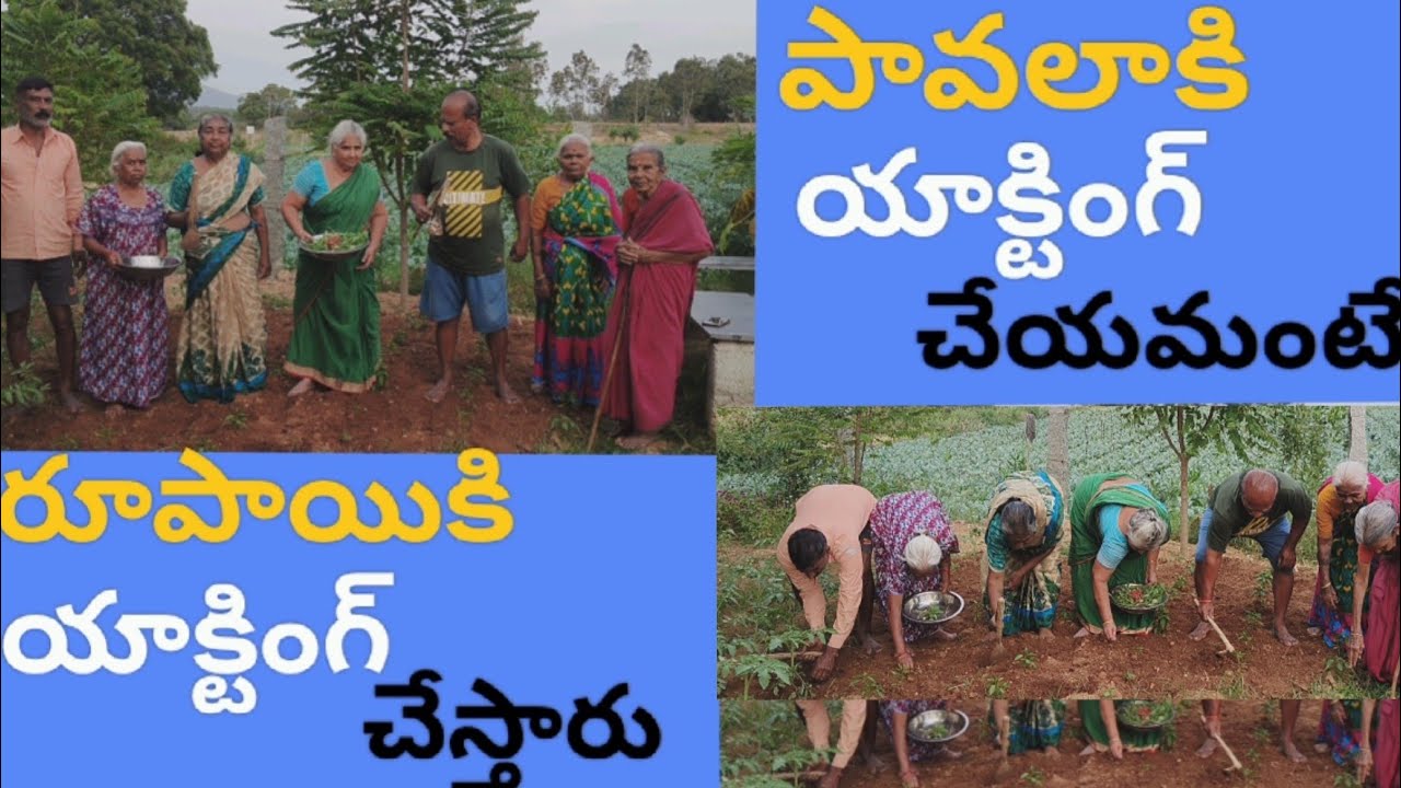 పావలాకు యాక్టింగ్ చేయమంటే రూపాయికి చేస్తారు#9441315536#old age home.