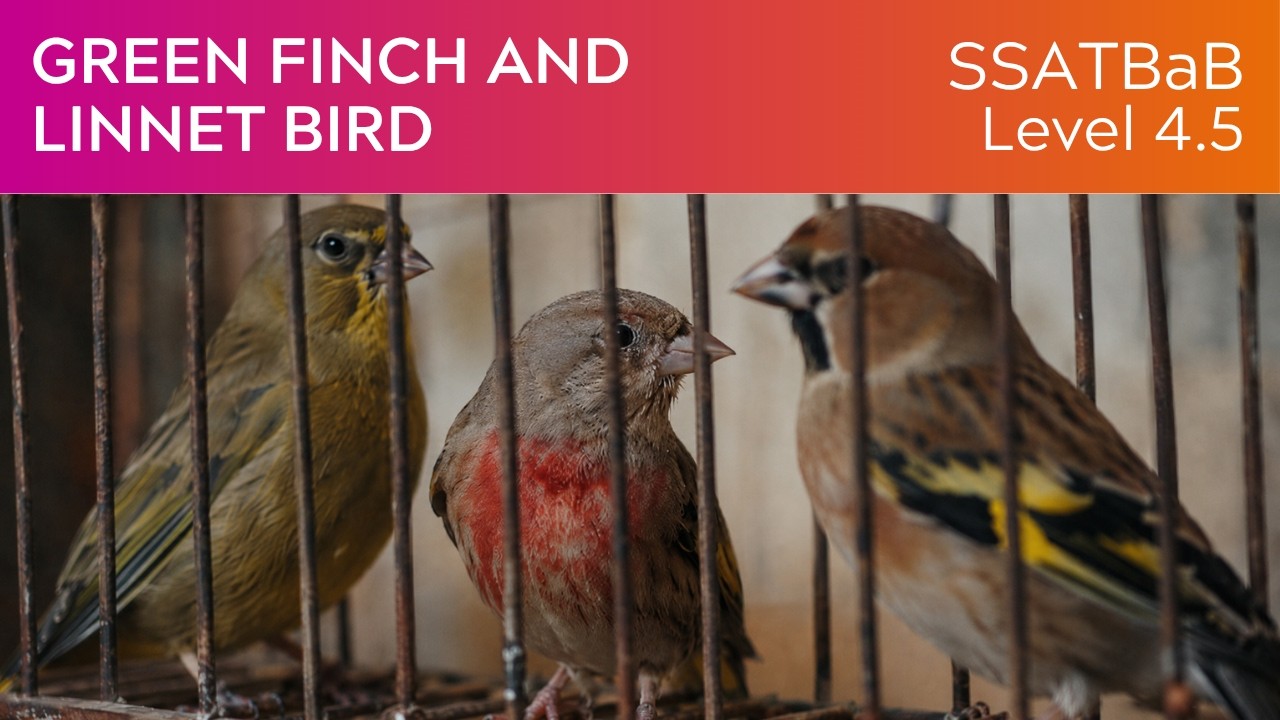 Green Finch and Linnet Bird (SSATBaB Lv5) - KerryMarsh.com Score Preview