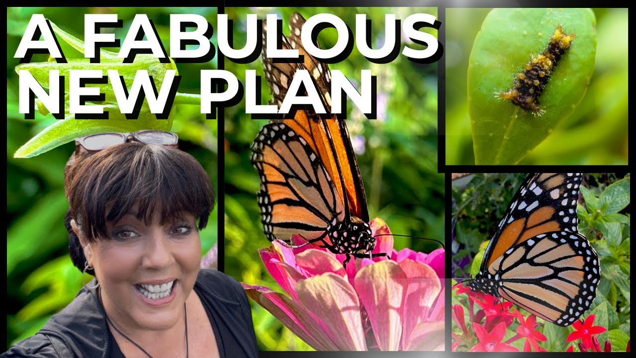 My Butterfly Garden Seating Area Makeover Begins 🦋 Come Garden With Me