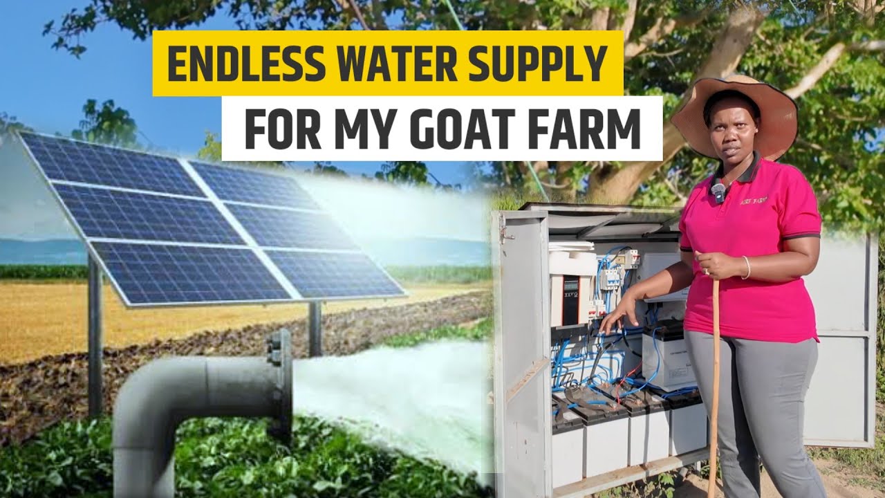 Cost Breakdown of Building a Solar Powered Water System That Gives Me Endless Water For My Goats