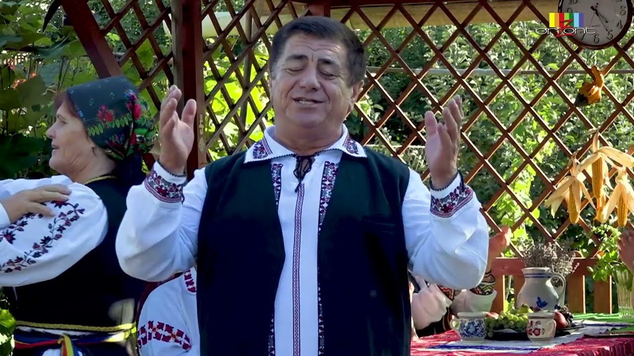 AUREL ȘUTEU  - Din străin să nu-ți faci frate