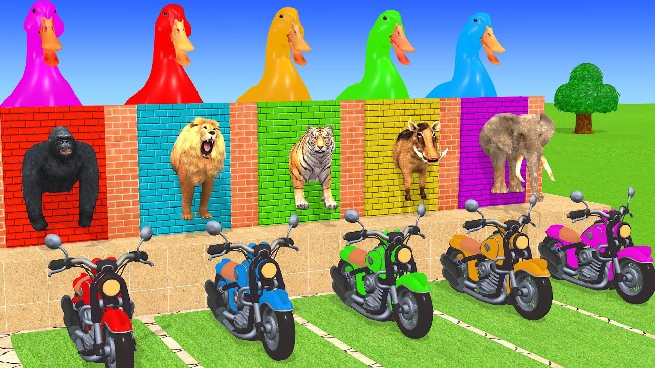 Long Slide Game With Cow Elephant Gorilla Hippopotamus Tiger 3d Animal Game Funny 3d AnimalsVideo