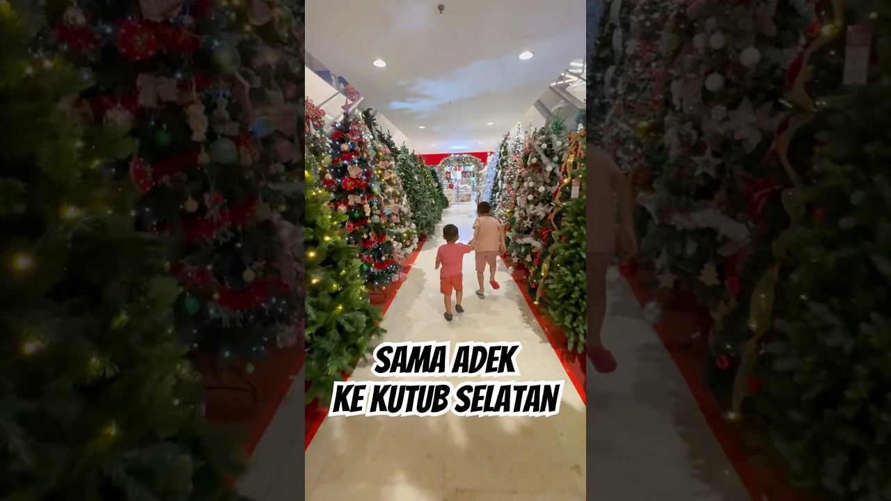 Cari pohon natal baru sama si kocik #christmas #christmastree #natal #sale #cute