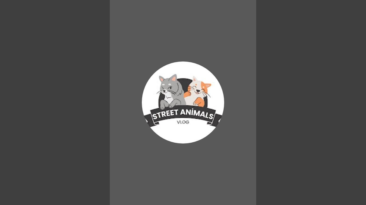 Street Animals Vlog kanalı canlı yayında