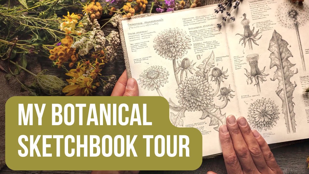 Botanical SKETCHBOOK TOUR 🌿 | My First Botanical Sketchbook (4 Years in the Making!)