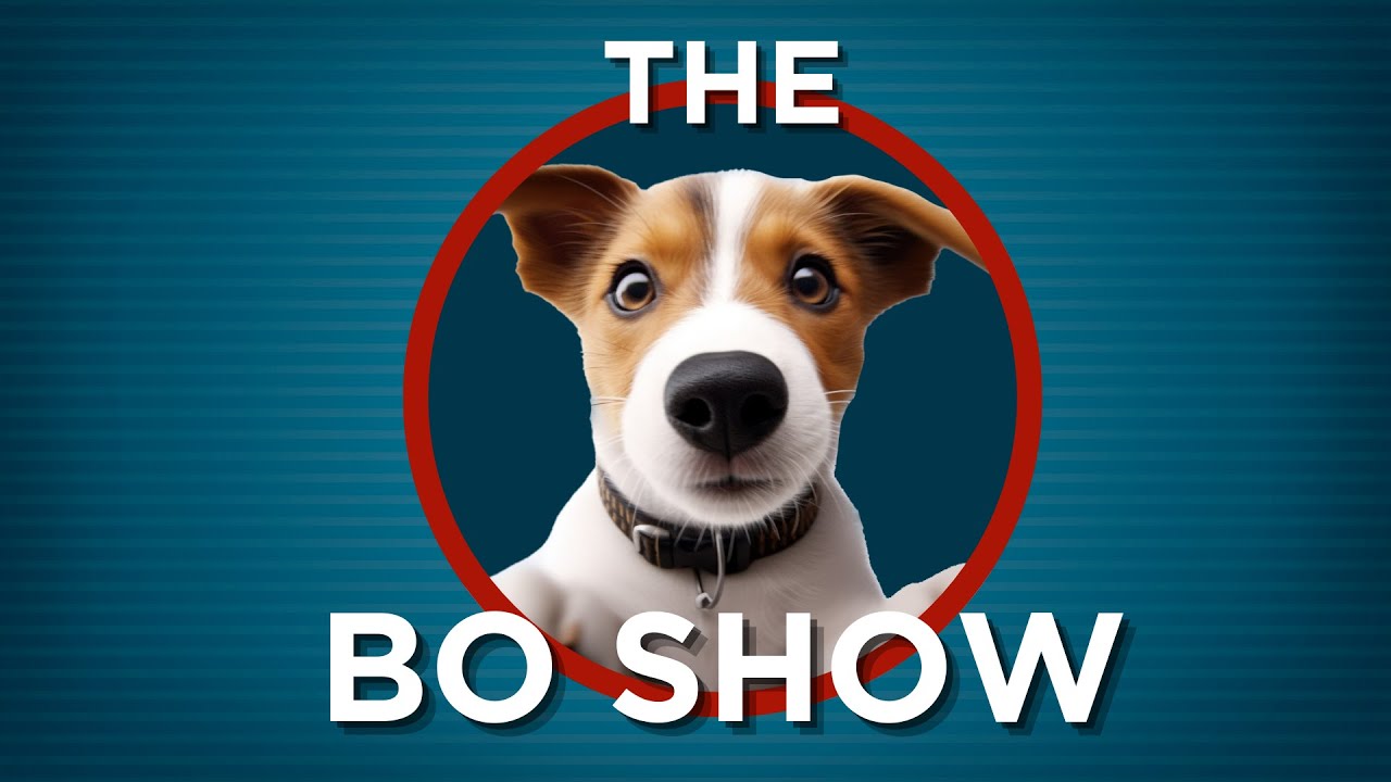 The Bo Show - Ep. 2 - Training a Puppy and Barn Hunt