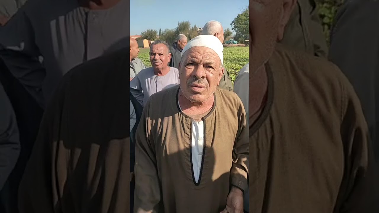 مصرنا24 :مستأجري أرض الأوقاف بكفر الشيخ.. صرخة ضد الإيجار المشتعل  