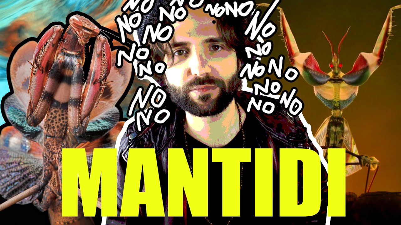 MANTIDE predatore finale - SCIENZA BRUTTA