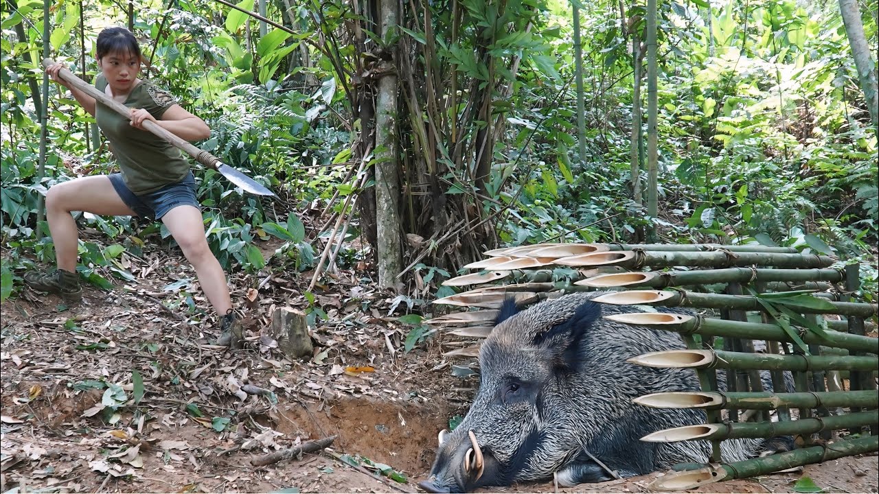 Wild Boar Hunting, Wild Boar Trapping Skills, Survival in the Wild, survival alone