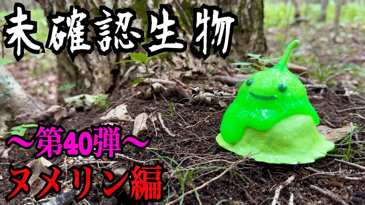 【未確認生物】ヌメリン見つけるまで帰れません！！！！