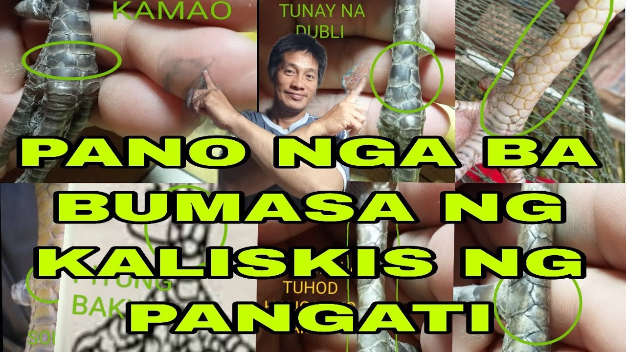 MGA KAHALAGAHAN NG MGA KALISKIS TAMANG PAG BASA AT PAG TINGIN.