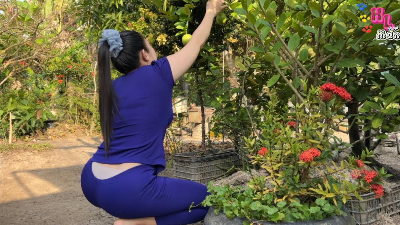 Mẫn ra vườn hái mướp nấu canh cua ăn cùng cá vồ đém kho hành 