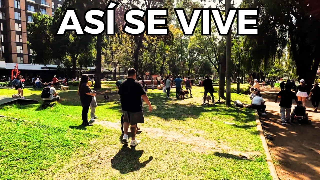 Así se vive Pasos y Pedales en la Avenida Las Américas
