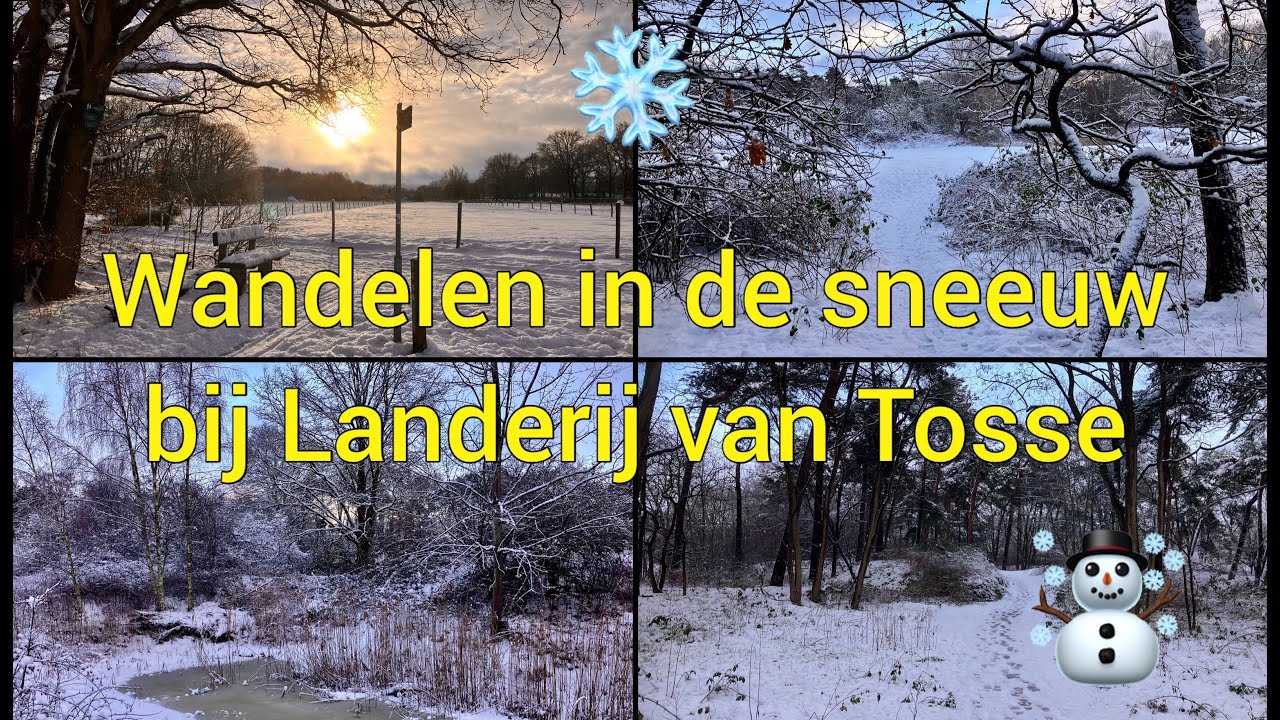 Winterwandeling door de sneeuw bij Landerij van Tosse 